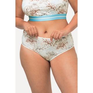 Ulla Popken  Slip midi con fiori/tinta unita in confezione da quattro 