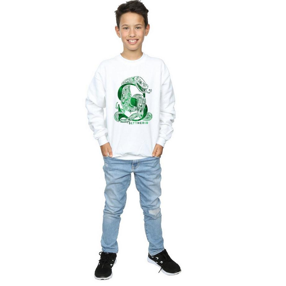 Harry Potter  Sweat SLYTHERIN 