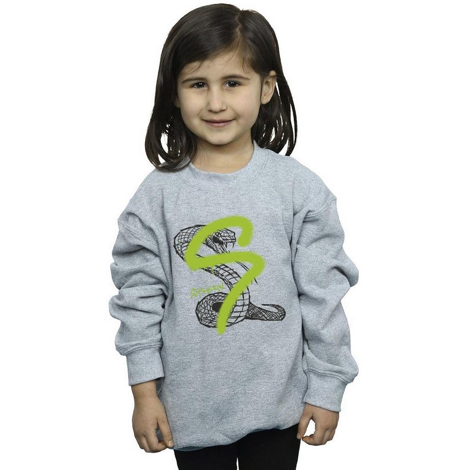 Harry Potter  Slytherin Sweatshirt 