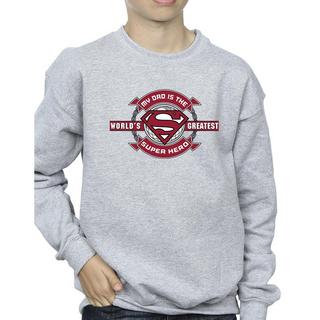 DC COMICS  Sweatshirt 