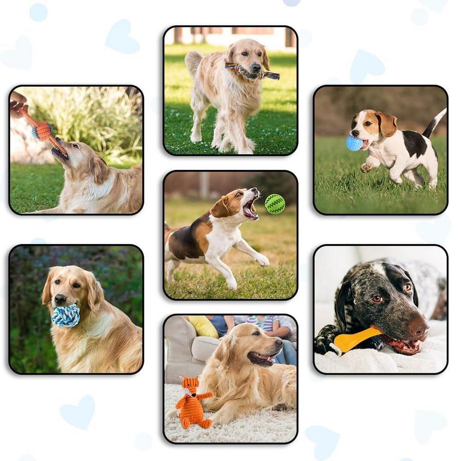 Activity-board  Ensemble de jouets pour Chiens, Jouet pour Chien Petits Chiens, Peluche avec Couineur, Jouet à mâcher Grinçant pour Petits Chiens Moyens, Peluche 