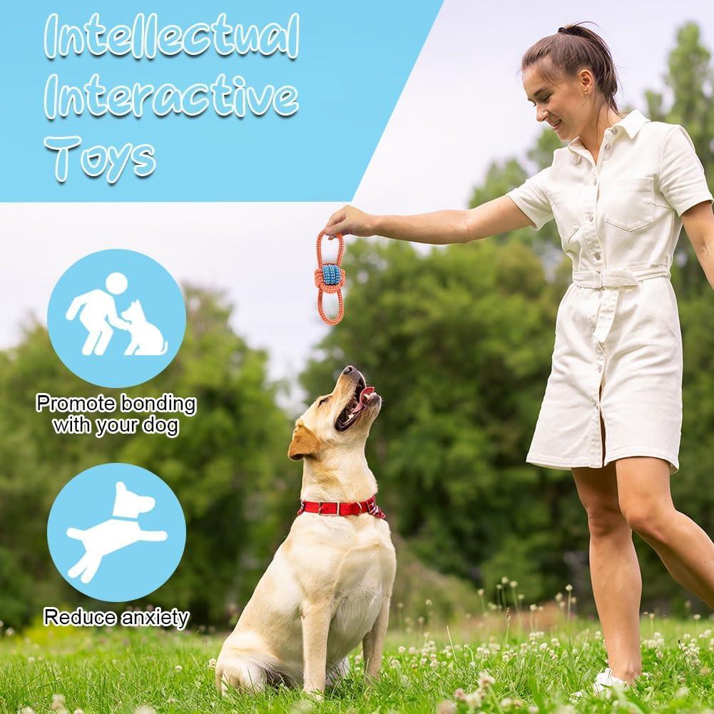 Activity-board  Hundespielzeug-Set, Hundespielzeug kleine Hunde, Plüsch mit Quietsche, Quietschendes Kauspielzeug für kleine mittelgroße Hunde, Plüschtier 