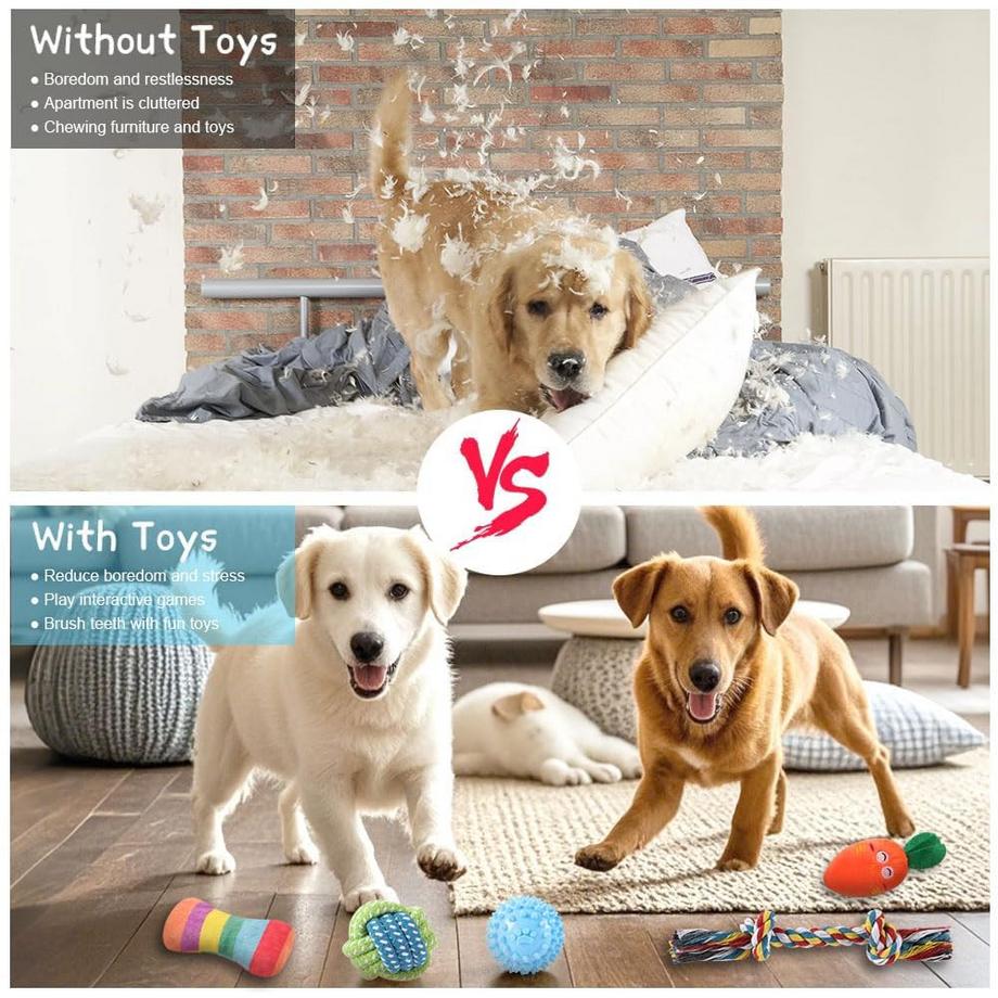 Activity-board  Ensemble de jouets pour Chiens, Jouet pour Chien Petits Chiens, Peluche avec Couineur, Jouet à mâcher Grinçant pour Petits Chiens Moyens, Peluche 