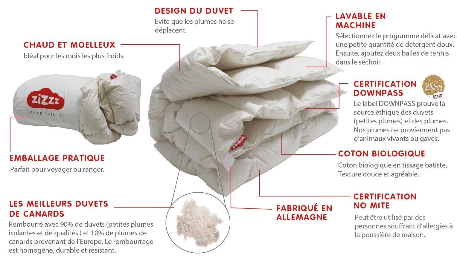 Zizzz Bio Entendaunen Duvet  