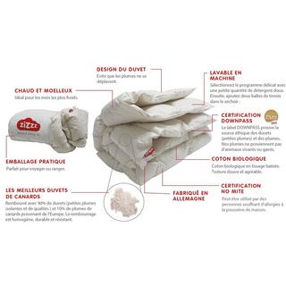 Zizzz Bio Entendaunen Duvet  