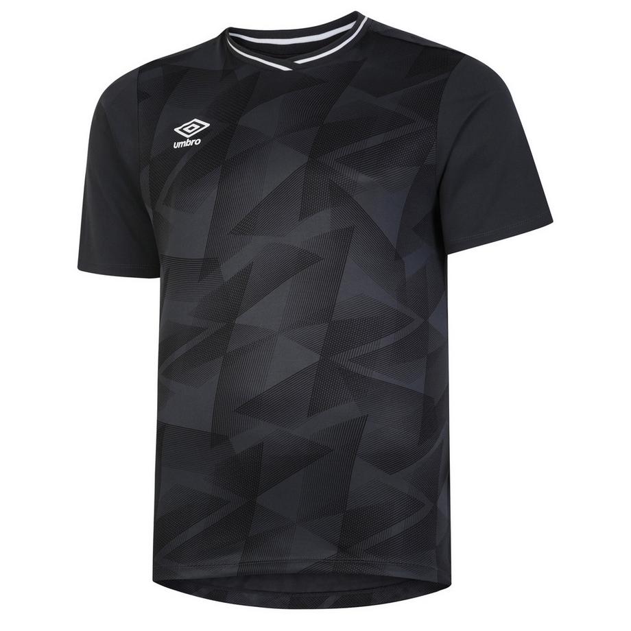 Maillot Triassic