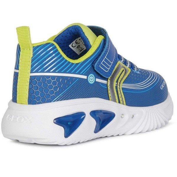 GEOX  Sneaker Assister 