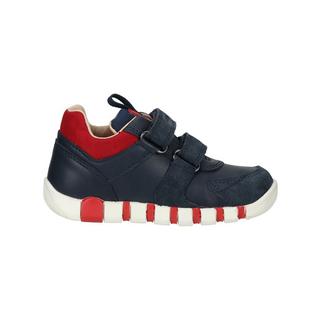 GEOX  Sneaker 