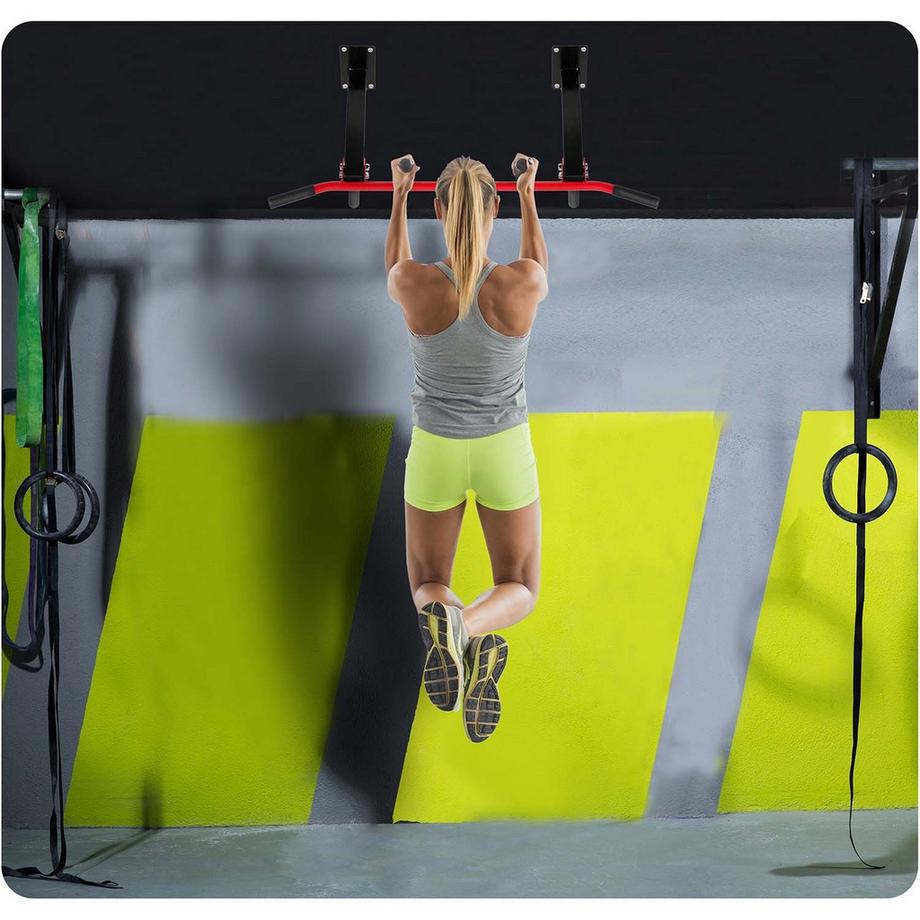 B2X  Decken-Klimmzugstange NS-317 