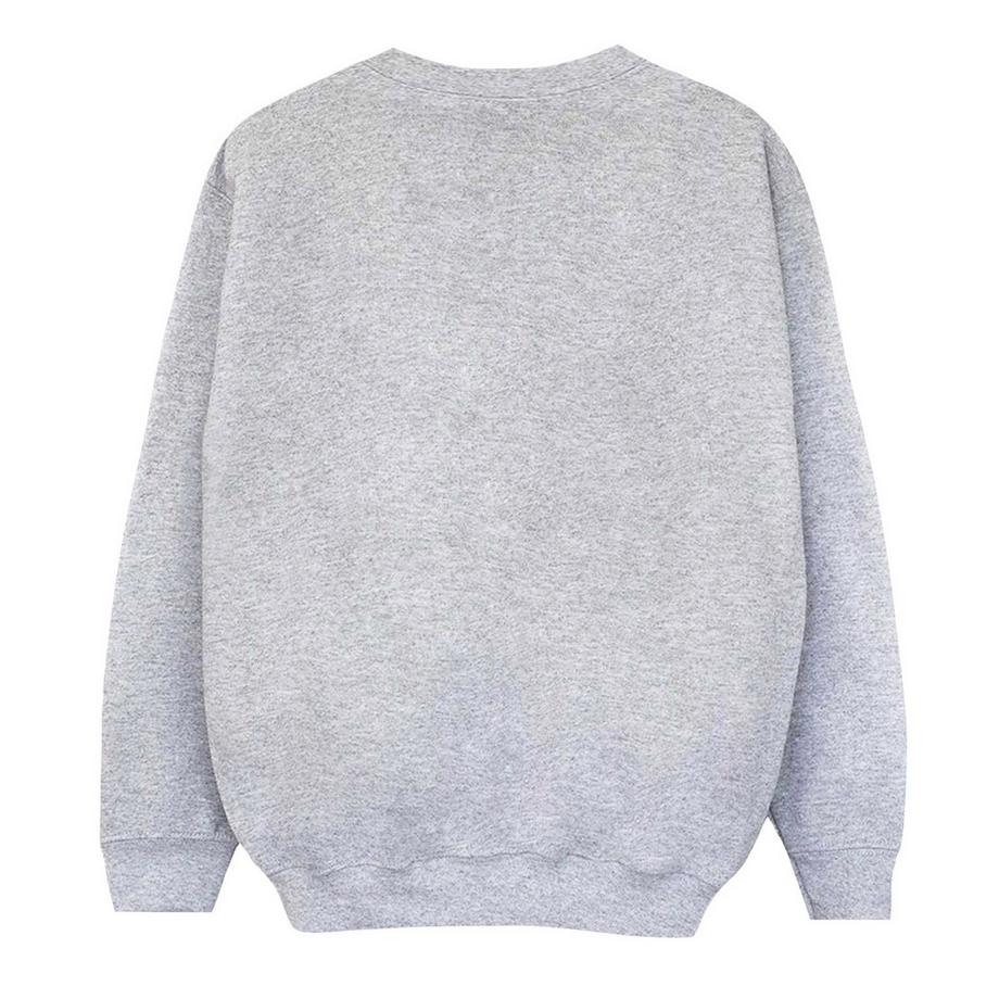 Disney  Sweatshirt 