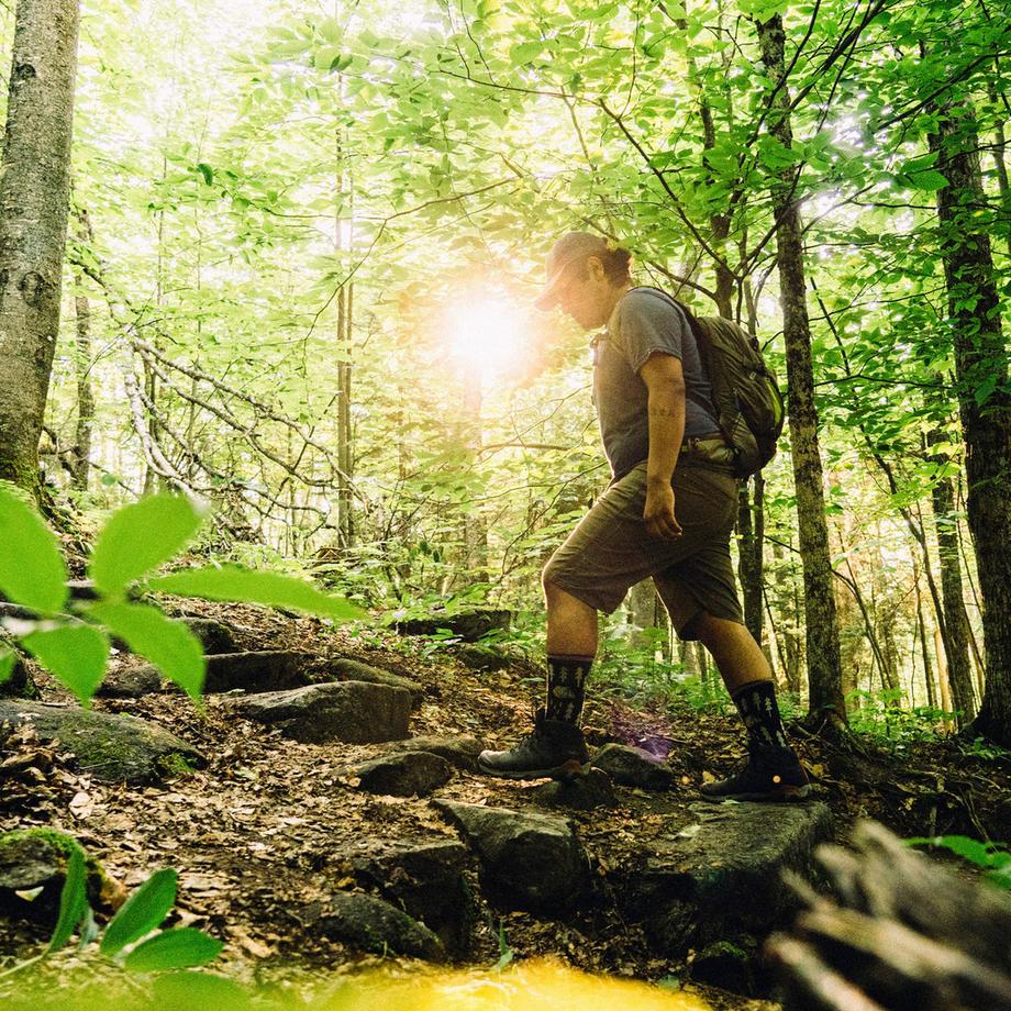 Darn Tough Vermont  Calze Uomo Mi-Peso in Lana Merino con Fantasia Foresta 