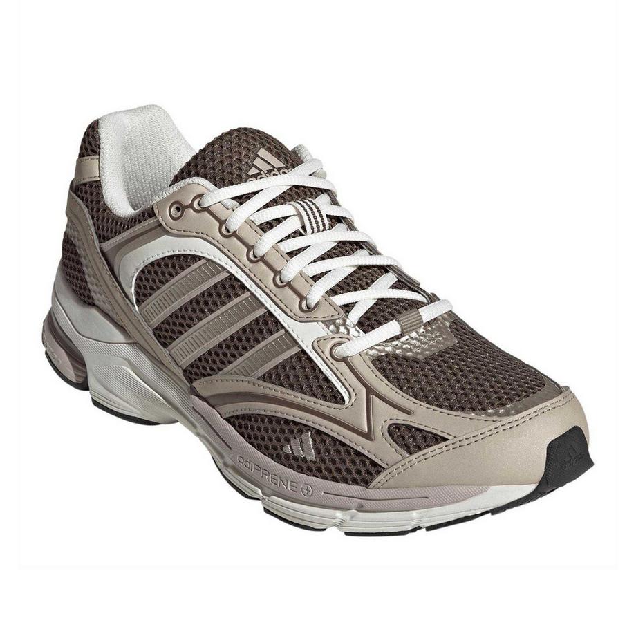 Spiritain Scarpe Sportive