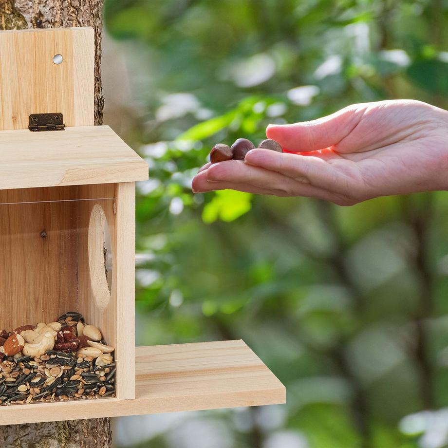 Northio  Casa per dare da mangiare agli scoiattoli 