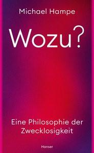 Wozu? Hampe, Michael Gebundene Ausgabe 