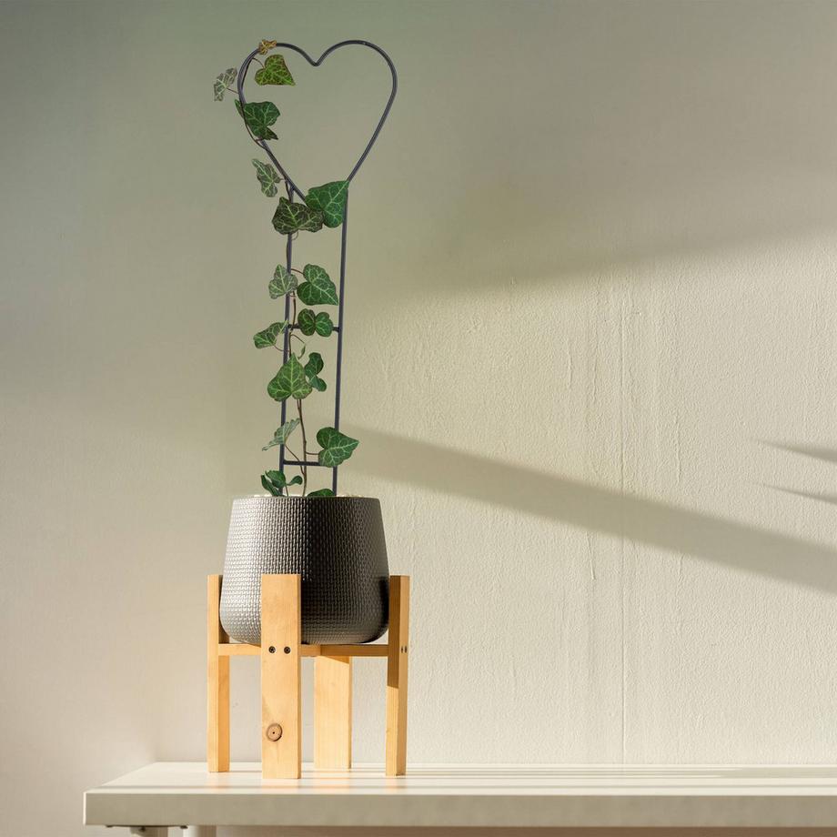 B2X Herz-Rankstützen im 4er-Set  