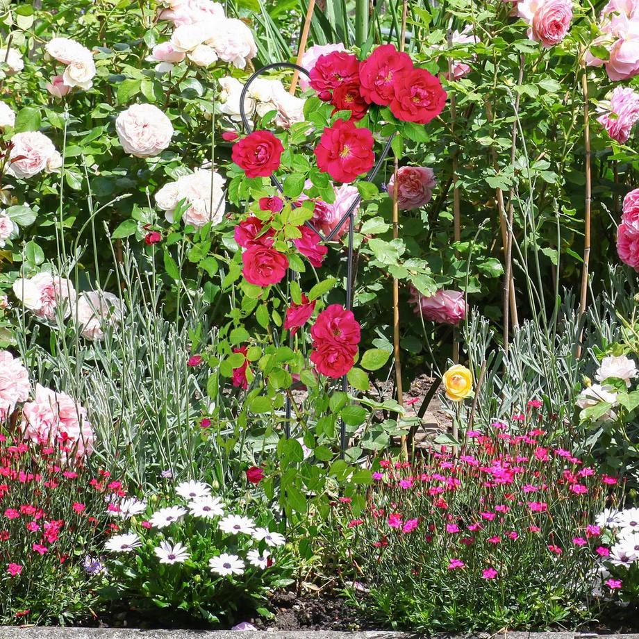 B2X Herz-Rankstützen im 4er-Set  