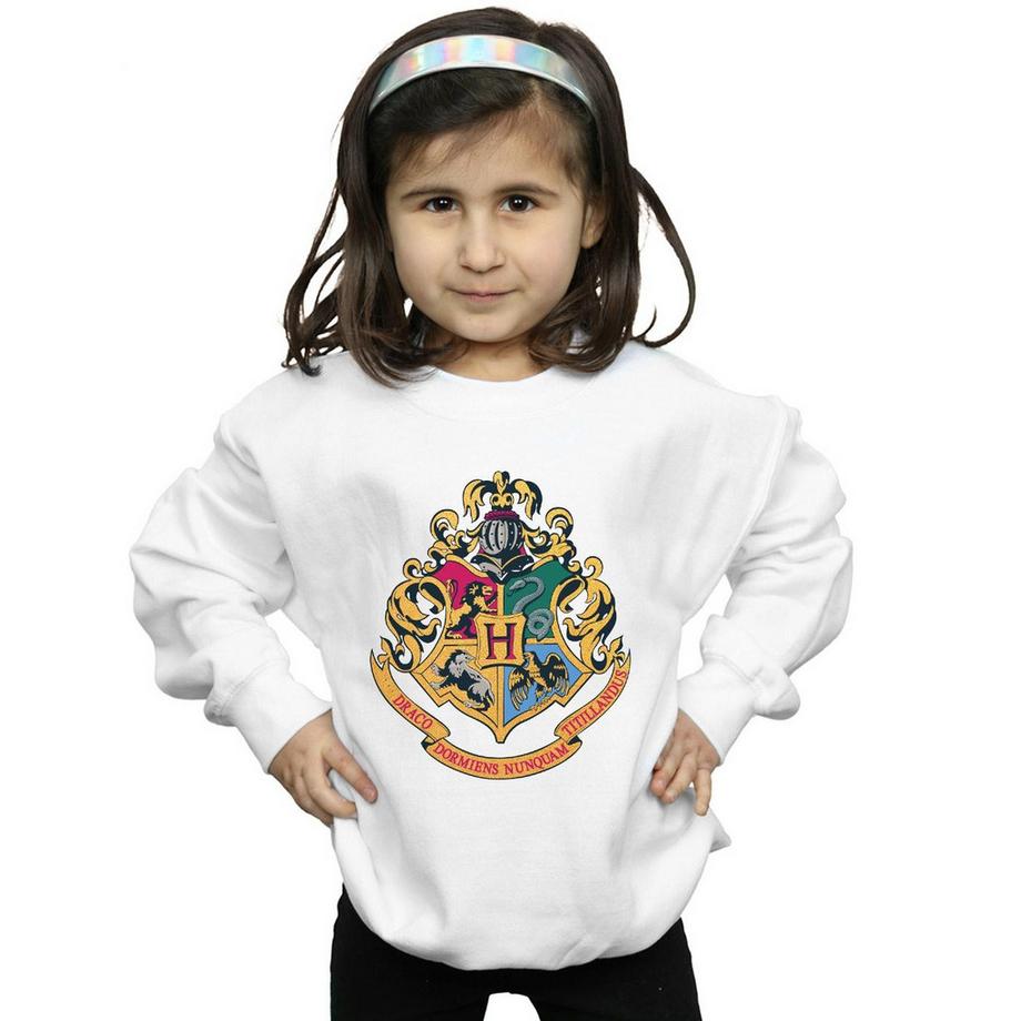 Harry Potter  Hogwarts Sweatshirt 