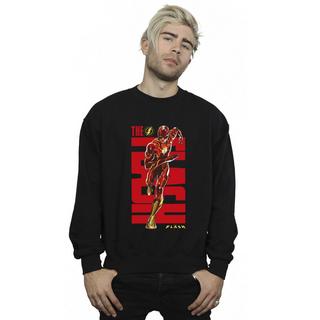 DC COMICS  Sweatshirt 