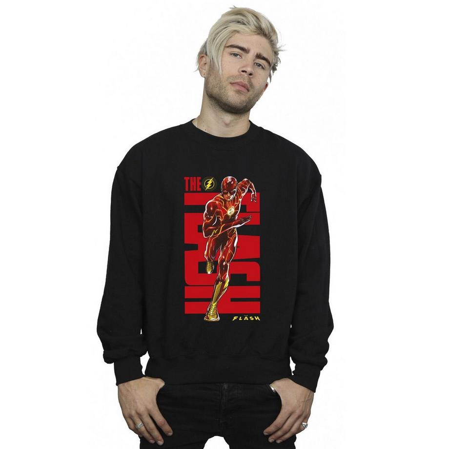 DC COMICS The Flash Sweatshirt Col Rond  