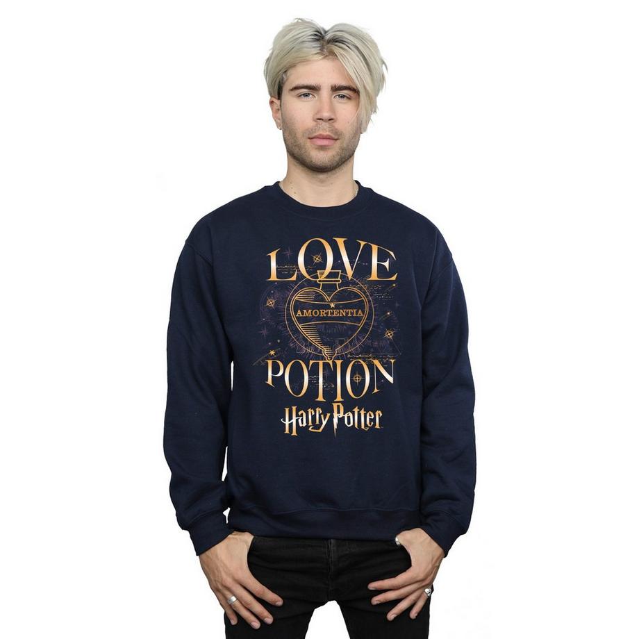 Harry Potter Love Potion Sweatshirt  