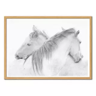 Wall Editions  Art-Poster - Horses - marie-anne stas - 50 x 70 cm 