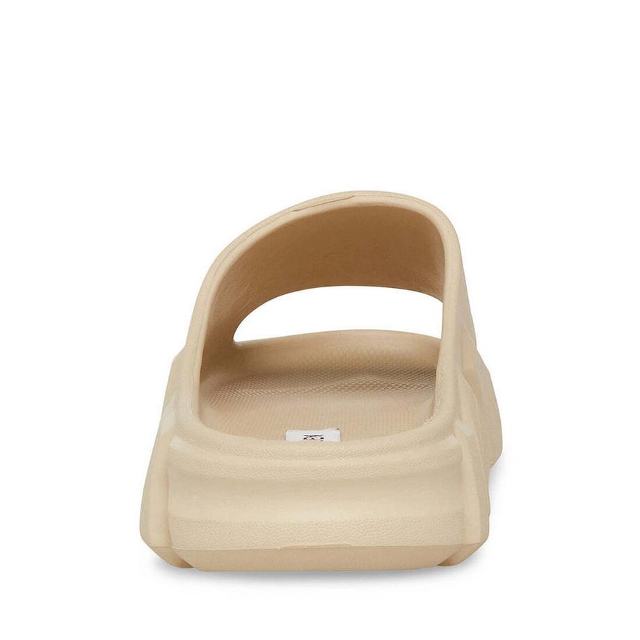 STEVE MADDEN  steppz charge 