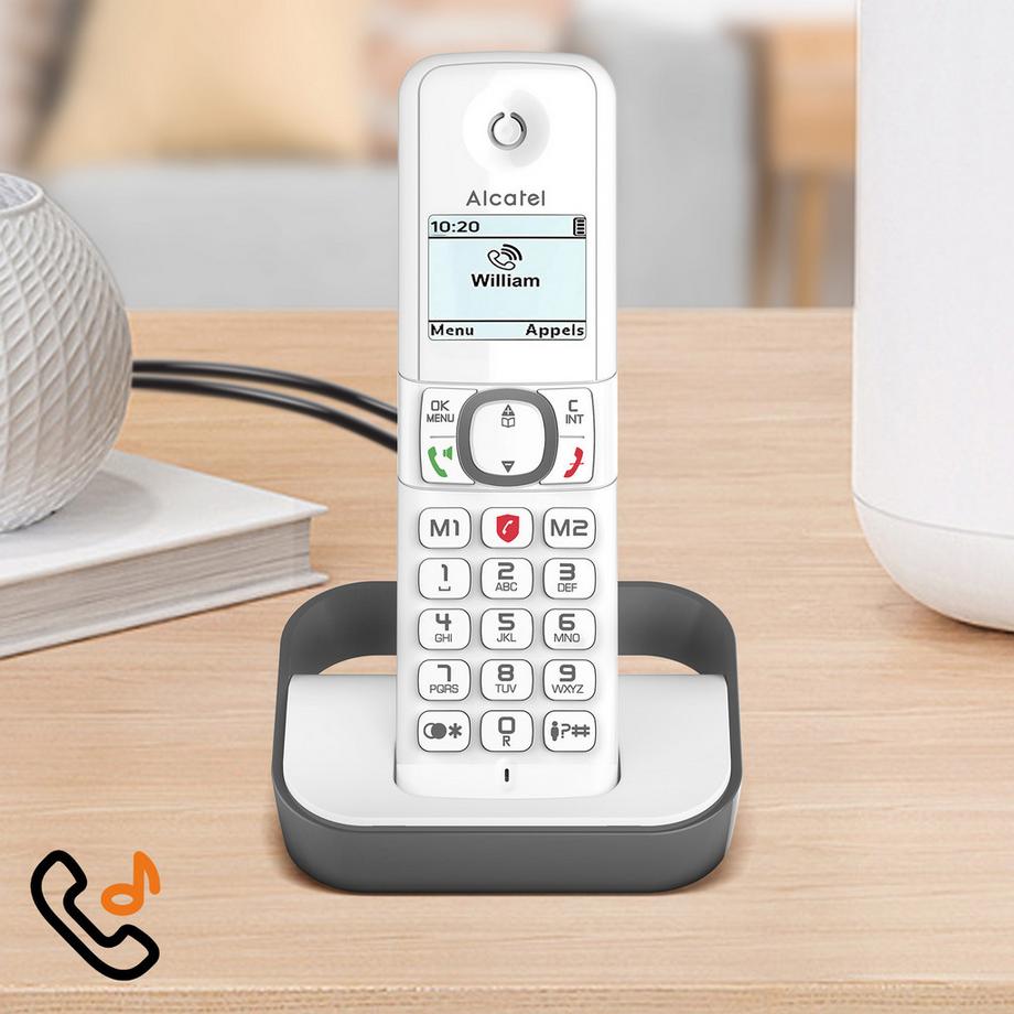 Alcatel  Lot de 2 Téléphone Alcatel F860 Duo Gris 