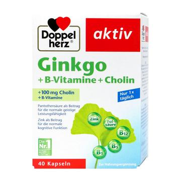 Doppelherz Ginkgo B-Vitamine Cholin