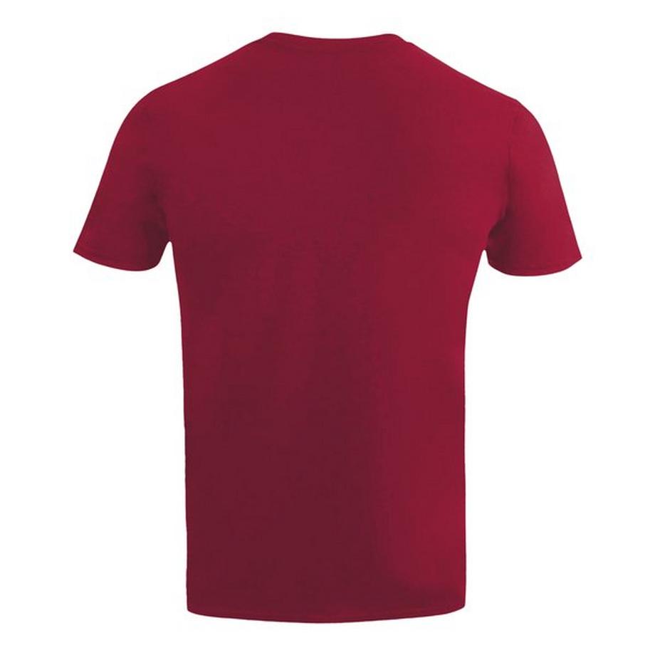 STAR WARS Star Wars Logo Print T-Shirt  