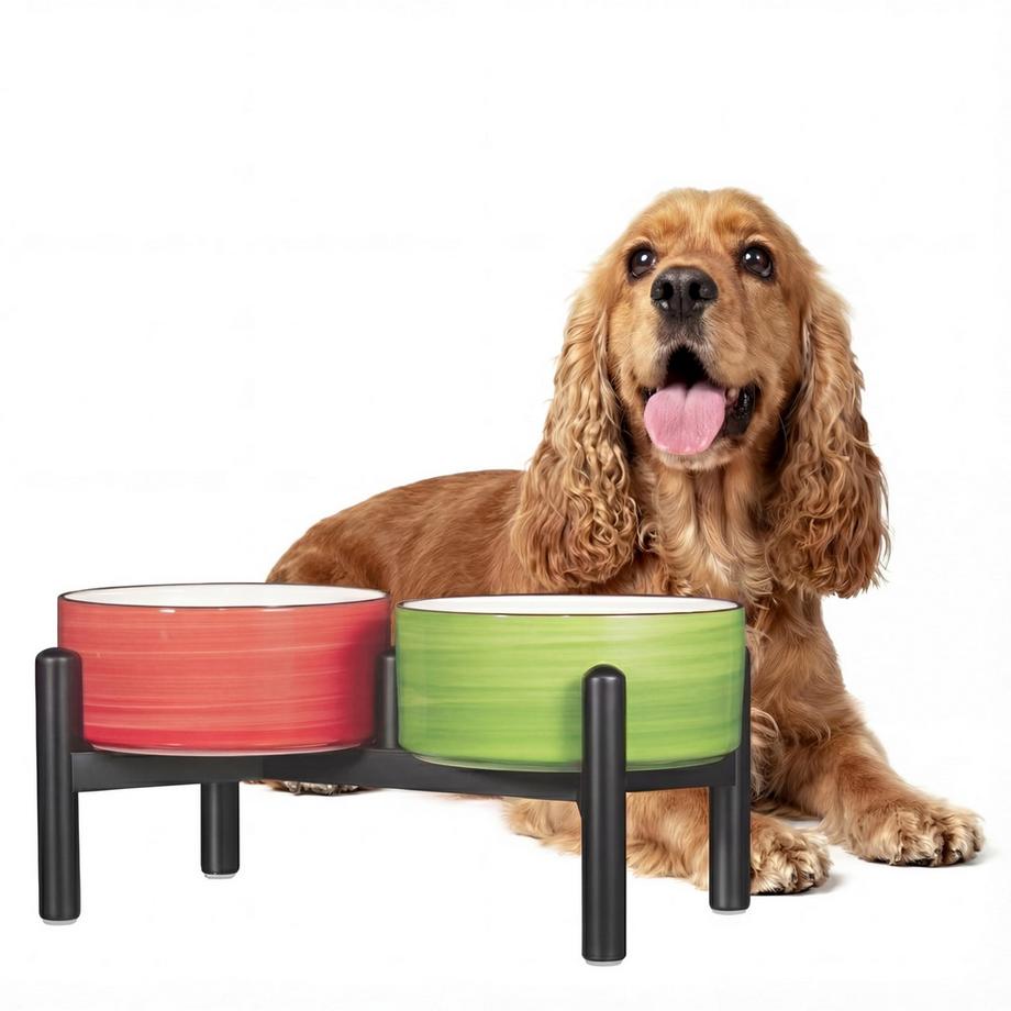 Bol pour Chien en Céramique Surélevé avec Support en Acier Inoxydable - Belle Station d'alimentation à Double Bol