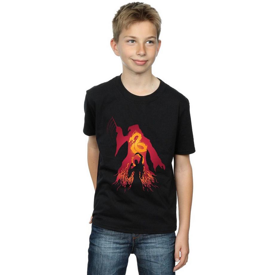 Harry Potter  TShirt 