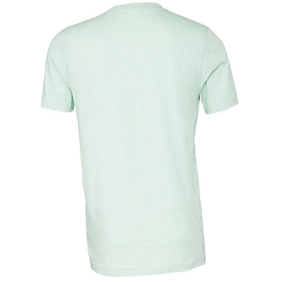 Bella + Canvas T-Shirt CVC  
