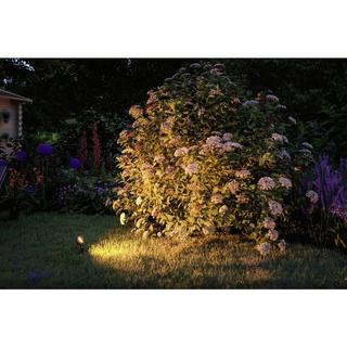 Paulmann Plug & Shine LED Gartenstrahler Sting Einzelspot Insektenfreundlich IP67 2200K 6.3W  