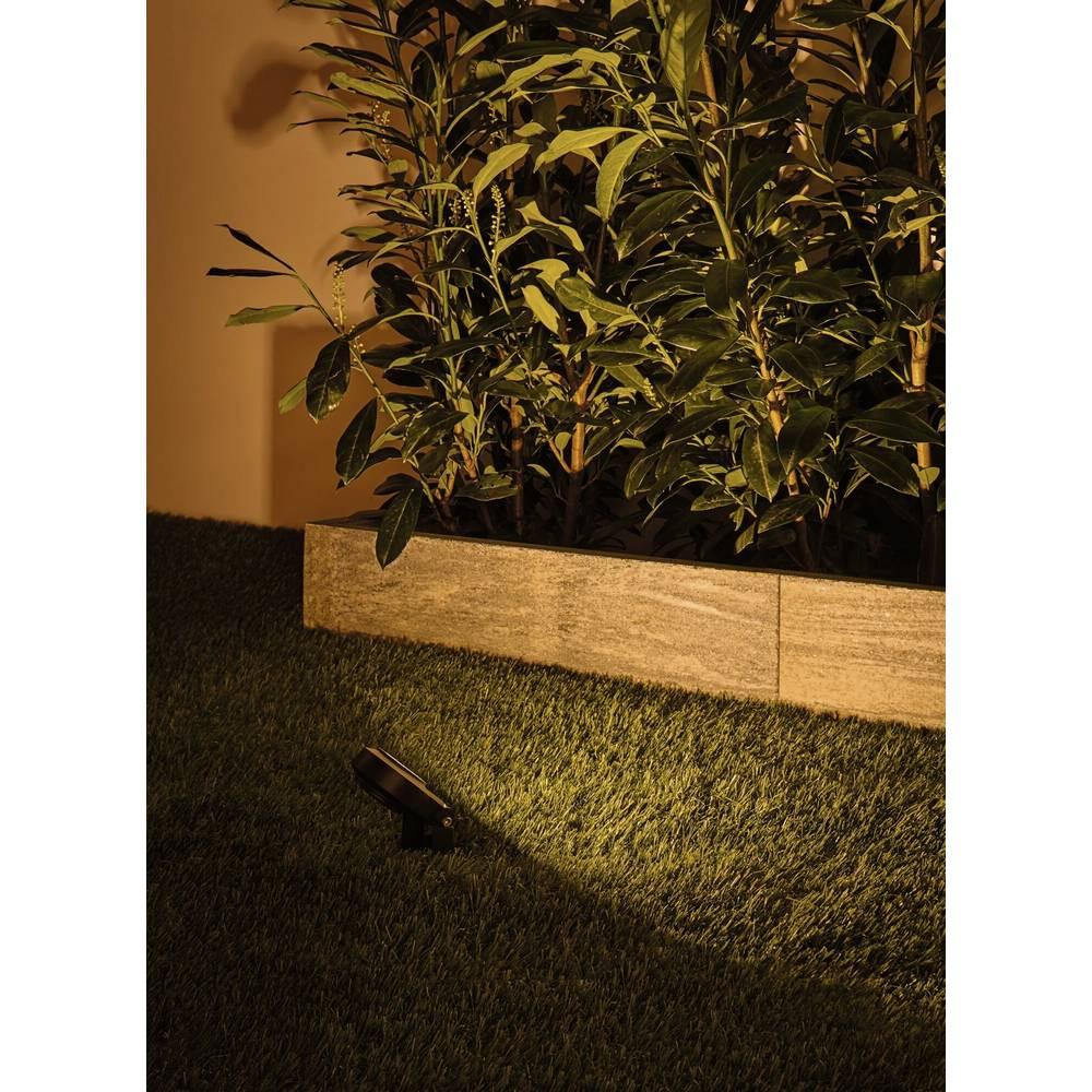 Paulmann Plug & Shine LED Gartenstrahler Sting Einzelspot Insektenfreundlich IP67 2200K 6.3W  