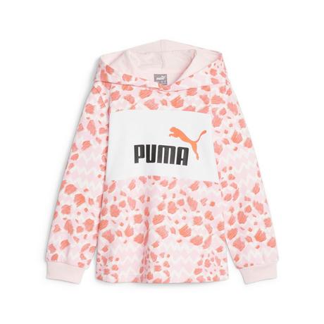 PUMA  Sweatshirt à capuche enfant  Essential Mix MTCH TR 