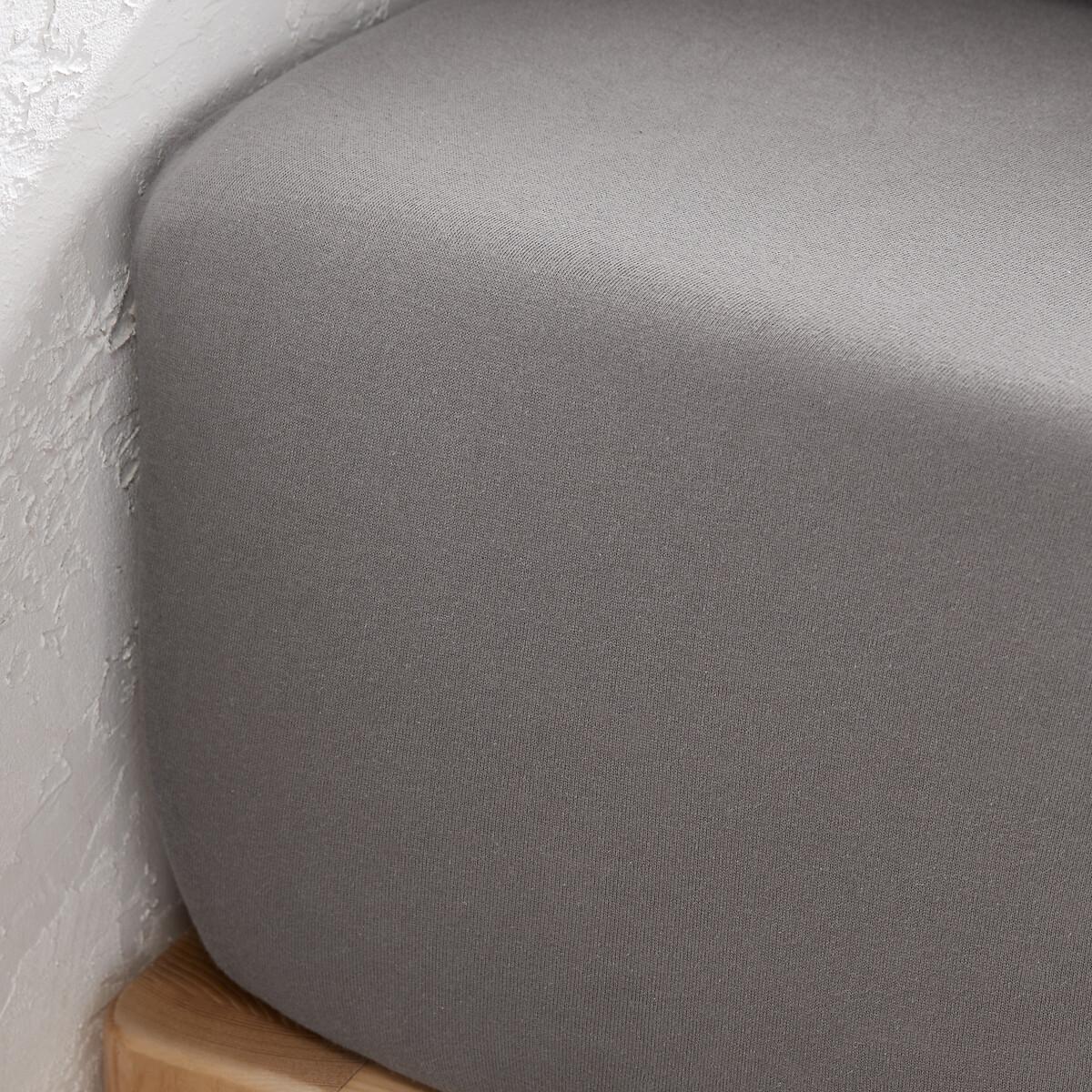 La Redoute Intérieurs Drap housse Scenario Jersey Coton  