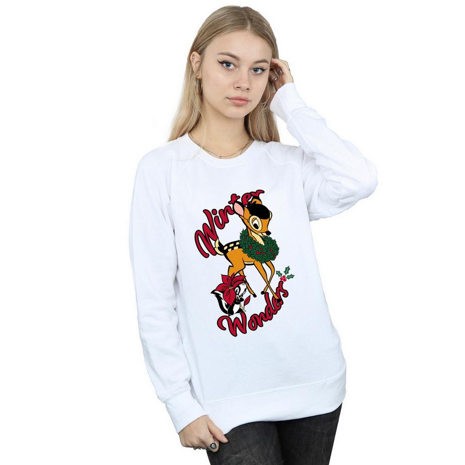 Disney Felpa Winter Wonders  