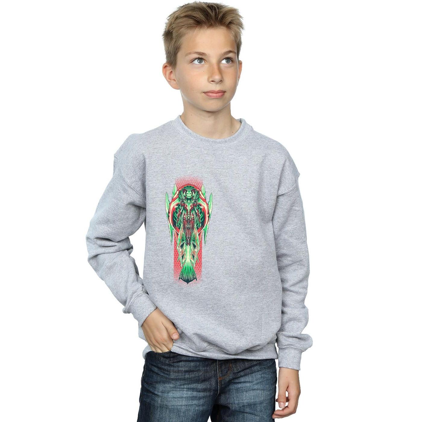 DC COMICS  Sweatshirt 