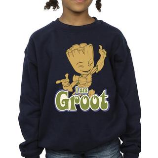 Guardians Of The Galaxy  Sweatshirt 