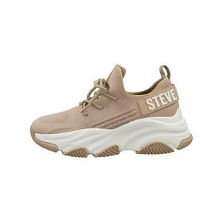 STEVE MADDEN  Sneaker Protégé-E SM19000032 