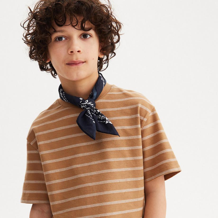 La Redoute Collections  T-shirt col rond rayé 