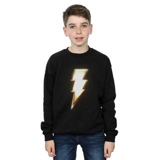 DC COMICS  Sweatshirt 