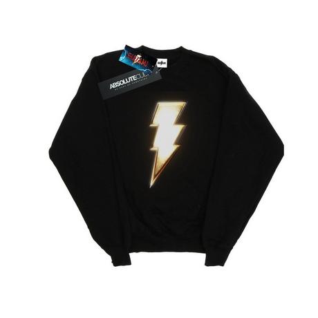 DC COMICS  Sweatshirt 