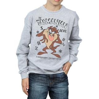 LOONEY TUNES  Sweatshirt 