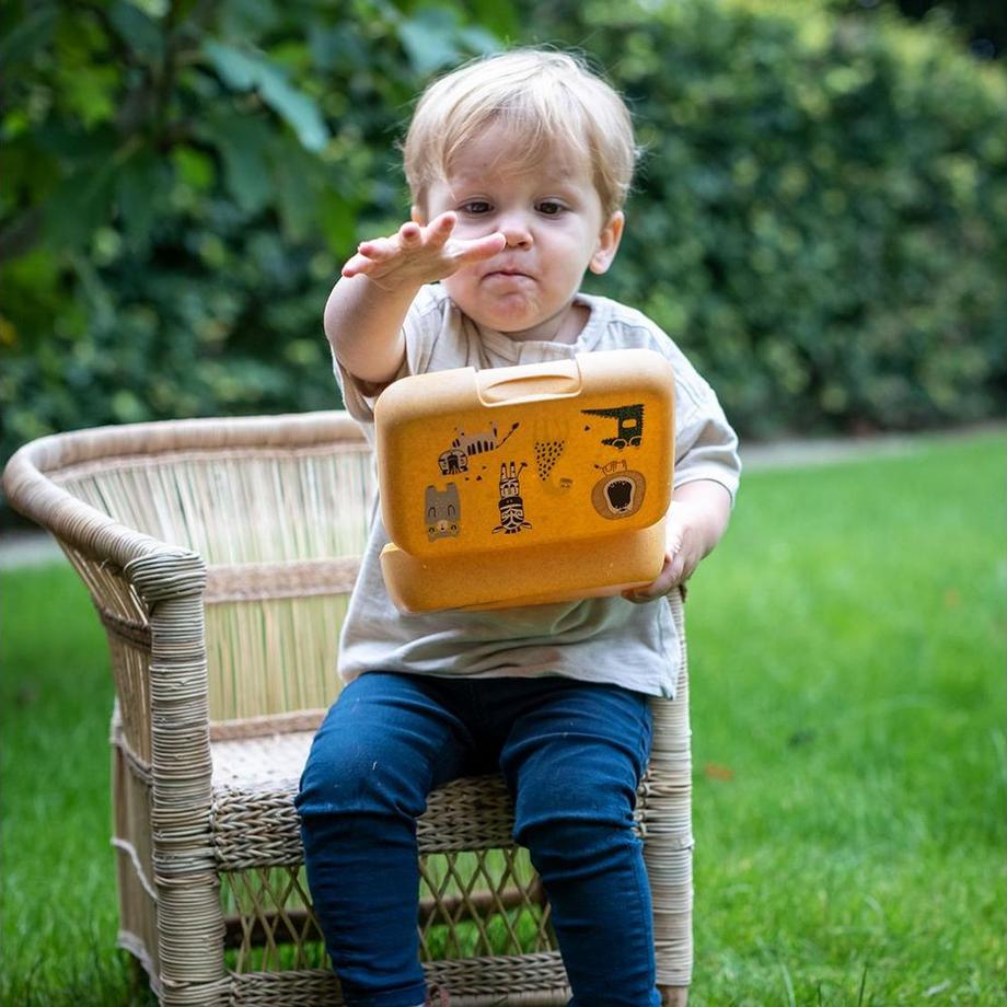 koziol  Lunchbox Candy Zoo 