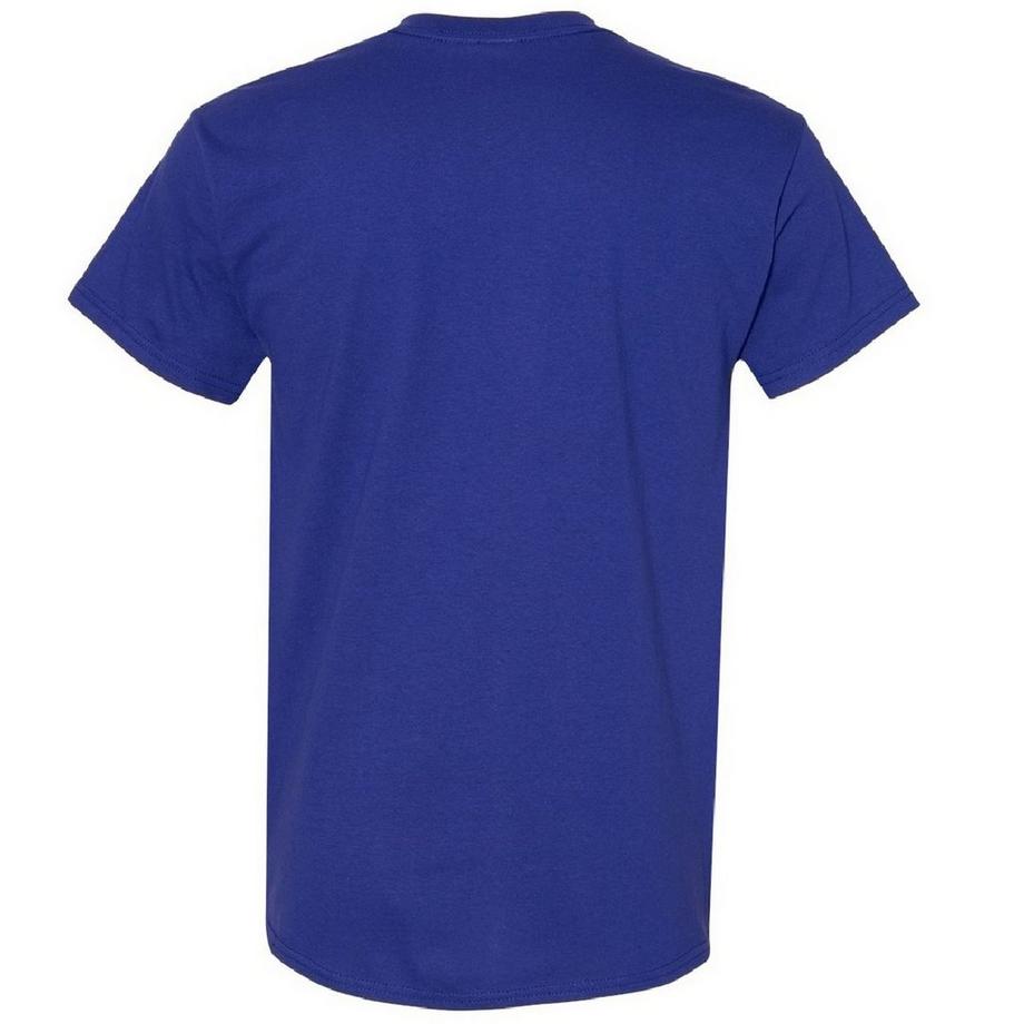 Gildan T-Shirt 5er Pack  