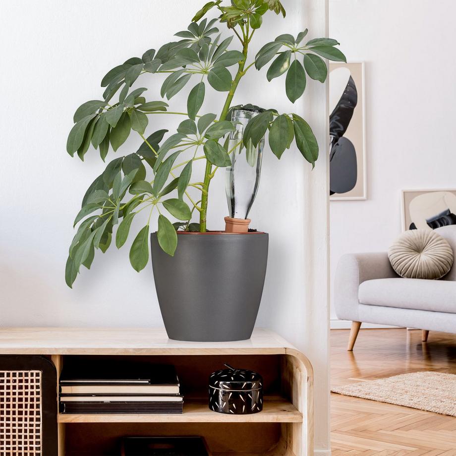 B2X  4 Bewässerungsspitzen 