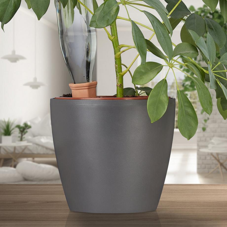 B2X  4 Bewässerungsspitzen 