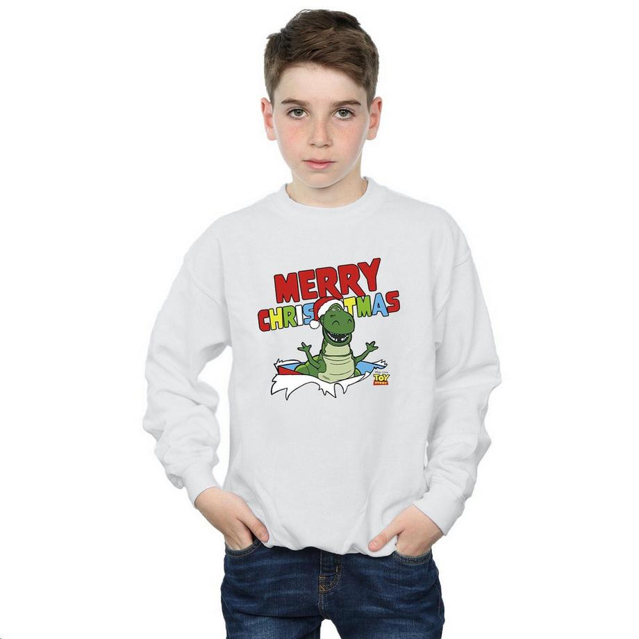 Toy Story Sweatshirt
