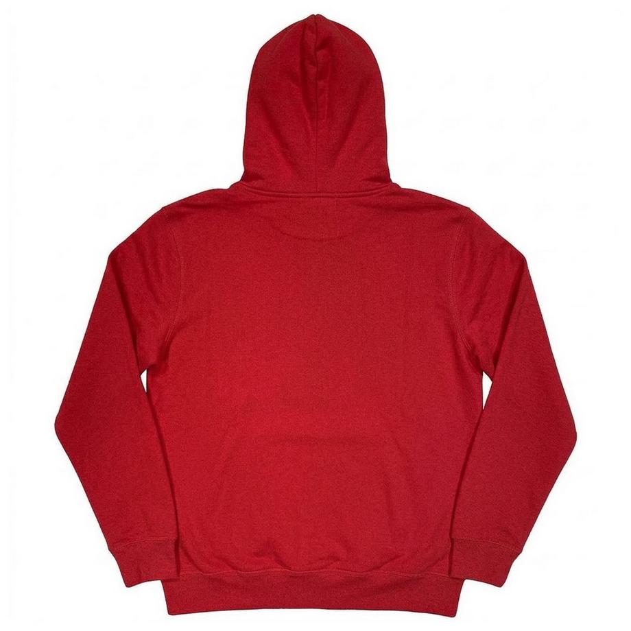 Oasis Sweat à capuche logo  